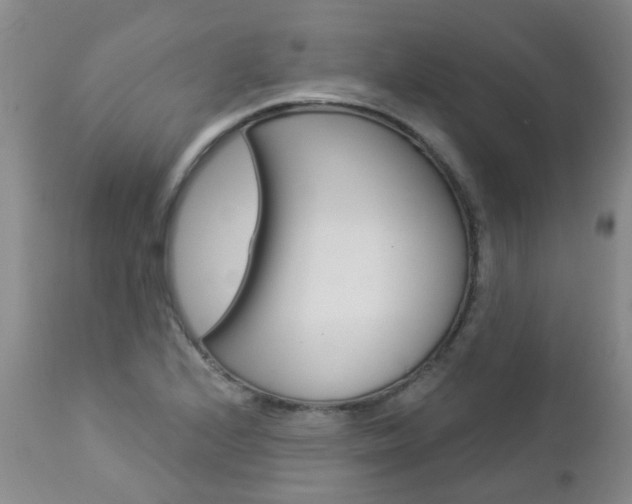 X0000112861224200908211047