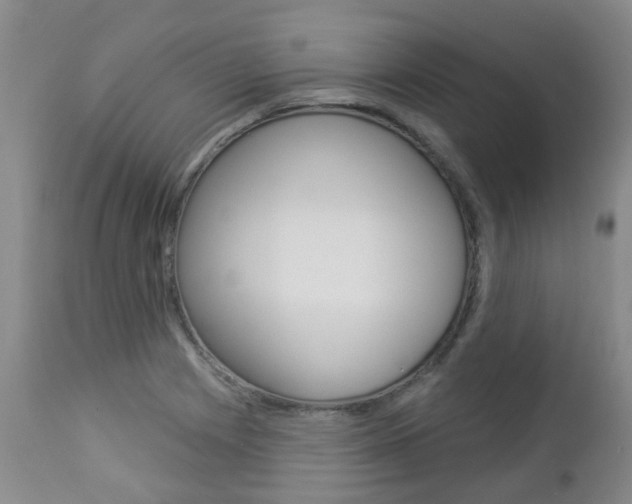 X0000112861225200908211047