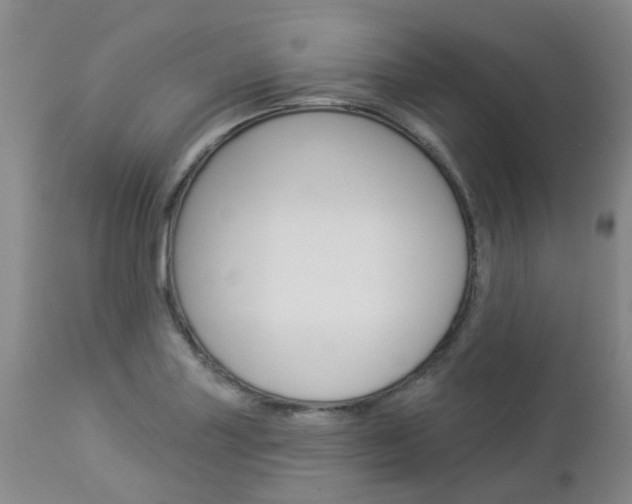 X0000112861227200908211047