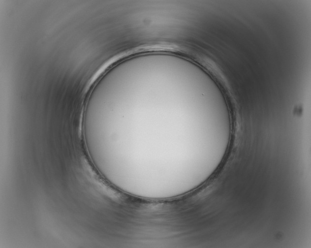 X0000112861228200908211047