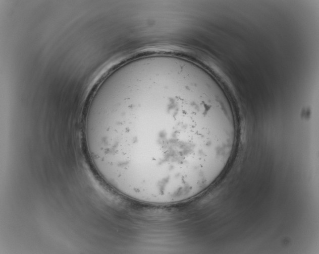 X0000112861229200908211047
