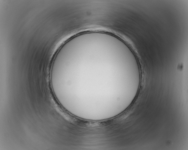 X0000112861231200908211047