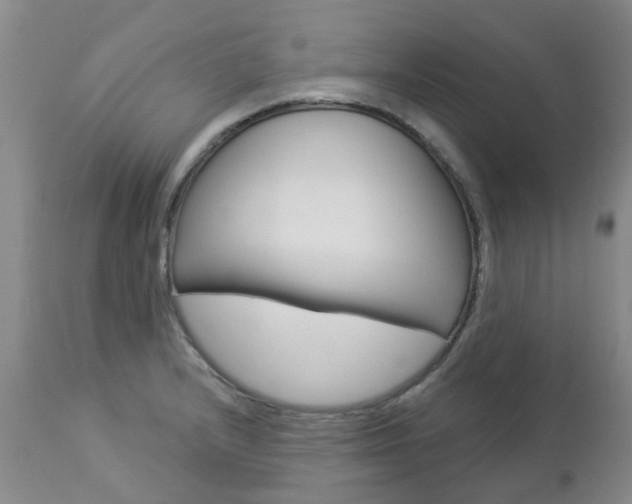 X0000112861232200908211047