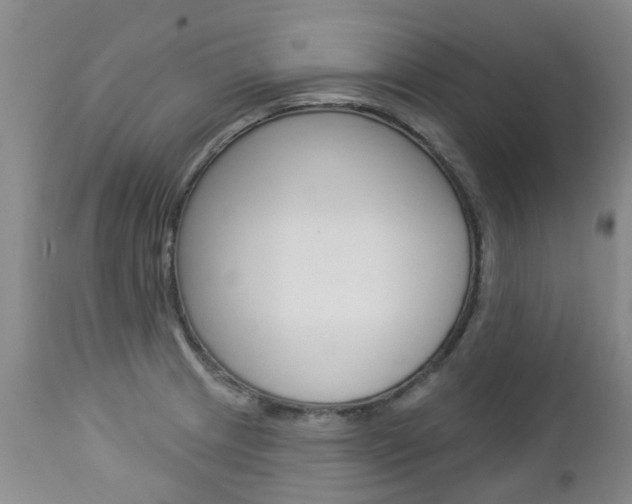 X0000112861233200908211047