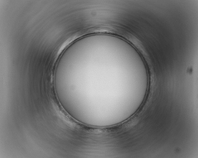 X0000112861234200908211047