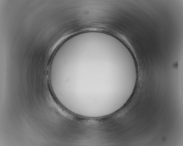 X0000112861235200908211047