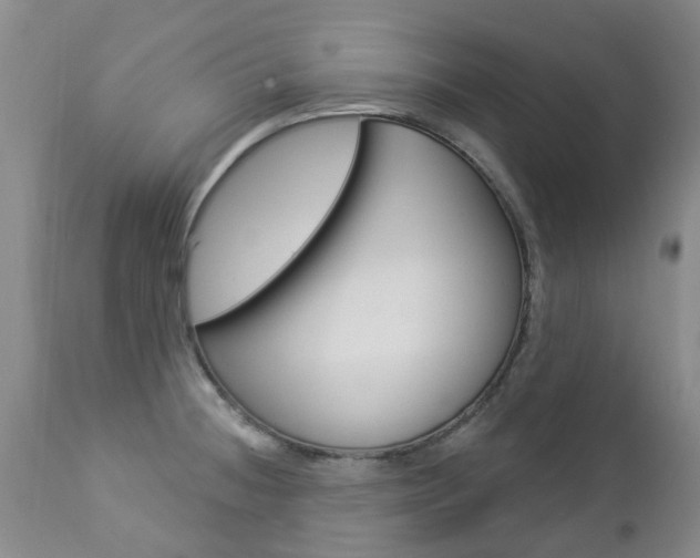 X0000112861236200908211047