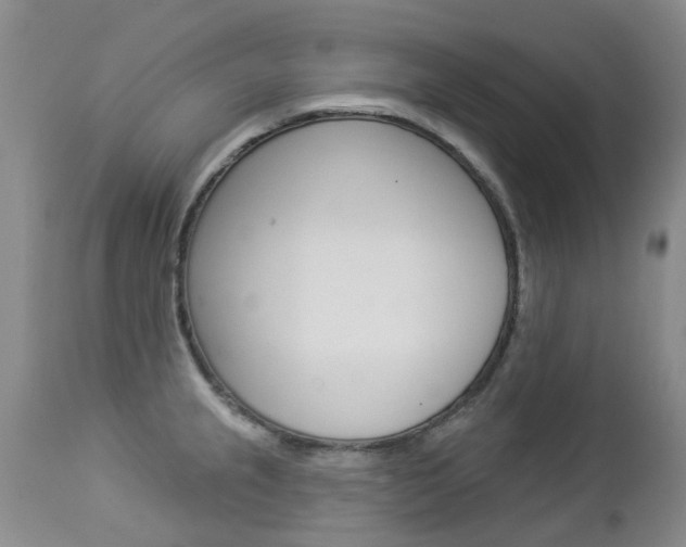 X0000112861237200908211047