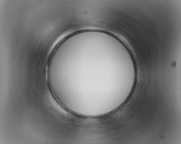 X0000112861238200908211047