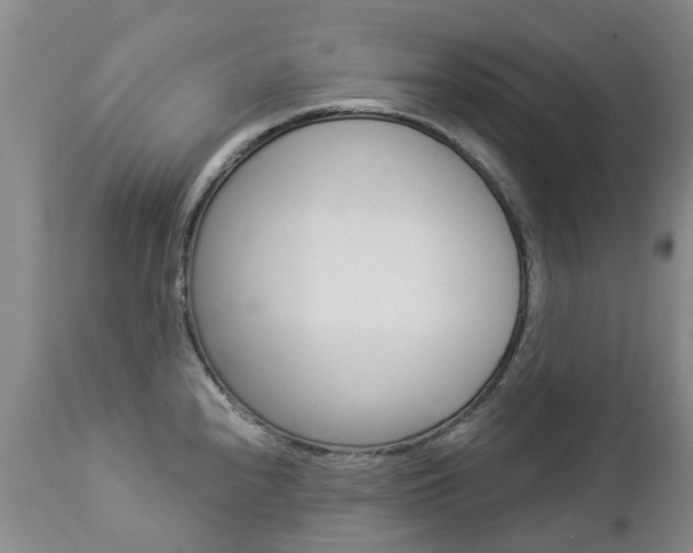 X0000112861240200908211047