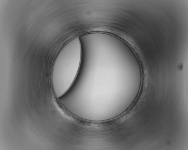 X0000112861241200908211048
