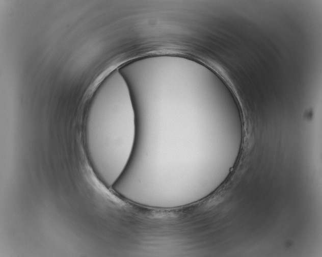 X0000112861243200908211048