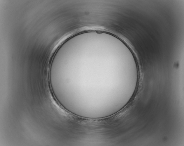 X0000112861245200908211048