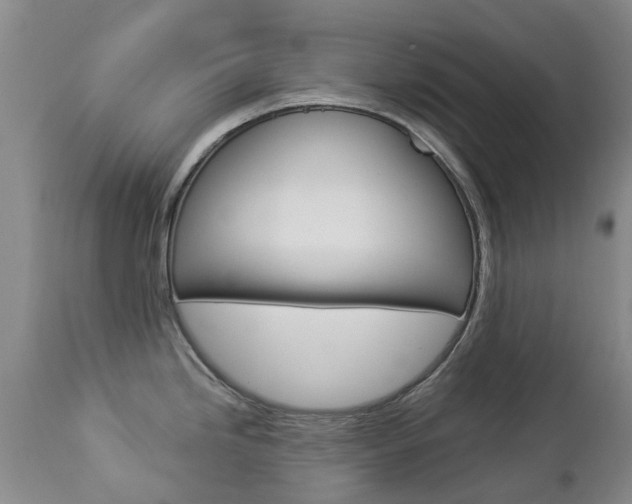 X0000112861246200908211048