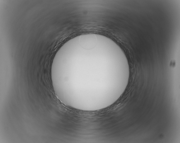 X0000112861249200908211047