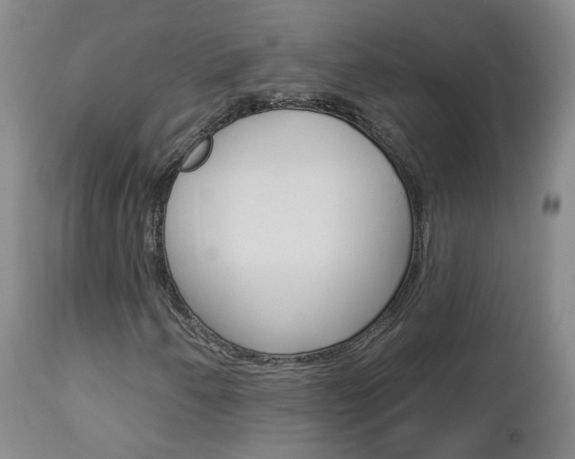 X0000112861250200908211047