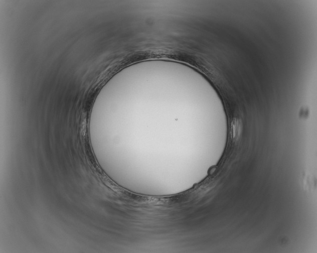X0000112861251200908211047