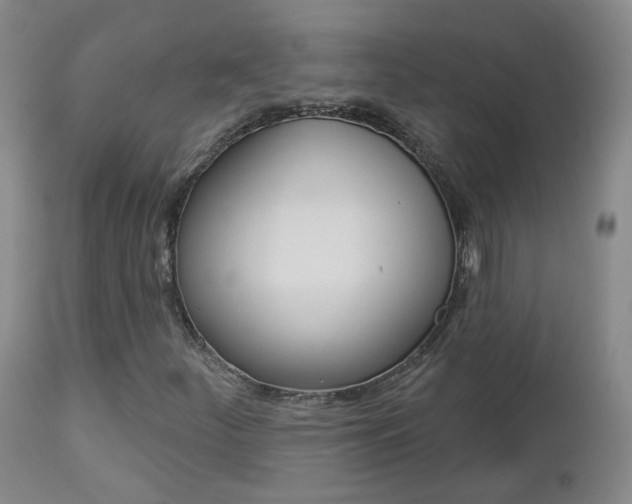 X0000112861252200908211047