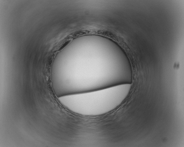 X0000112861253200908211047