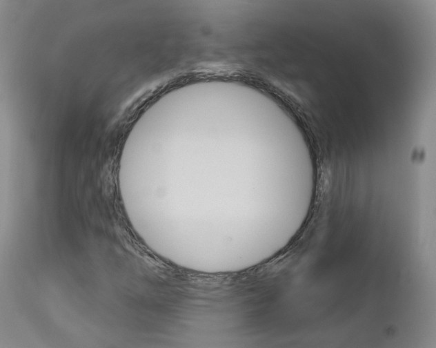 X0000112861254200908211047