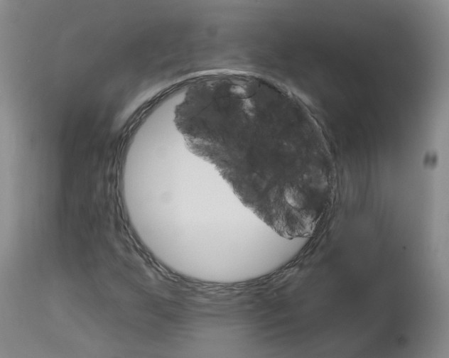 X0000112861255200908211047