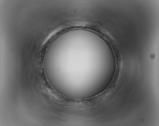 X0000112861256200908211047