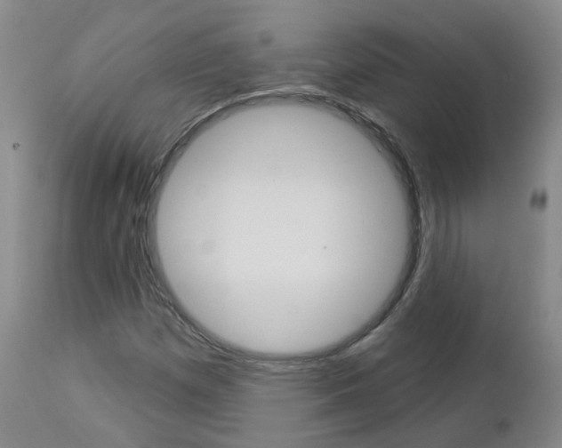 X0000112861257200908211047