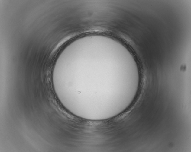 X0000112861258200908211047