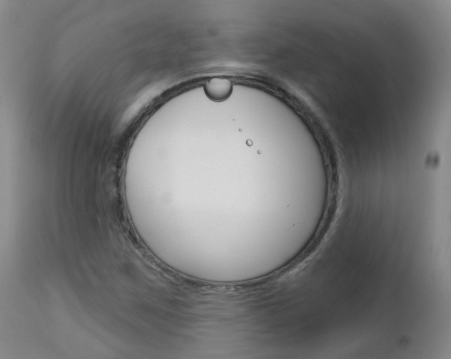 X0000112861259200908211047