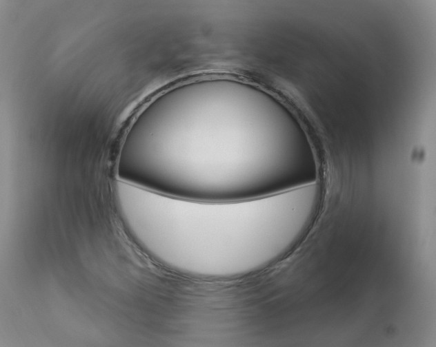 X0000112861260200908211047
