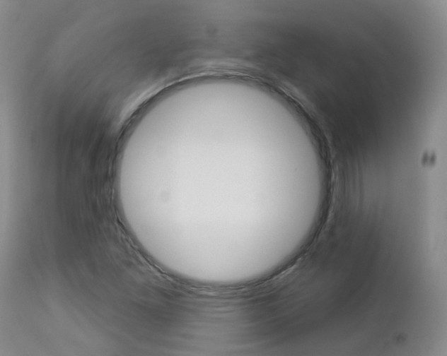 X0000112861261200908211047