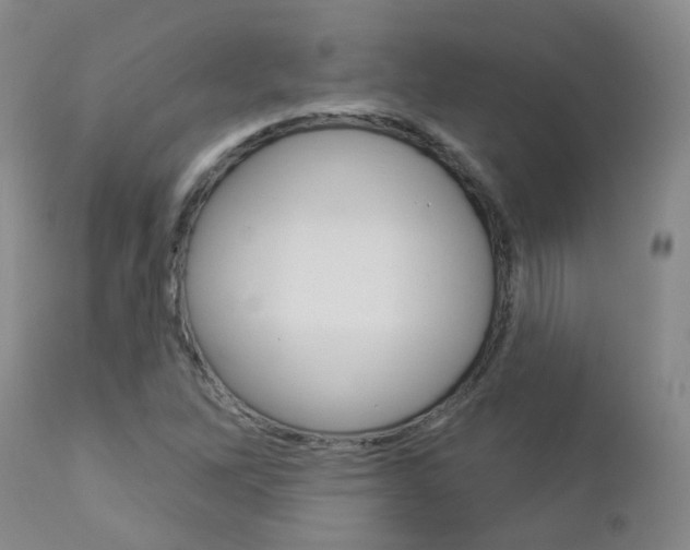 X0000112861262200908211047