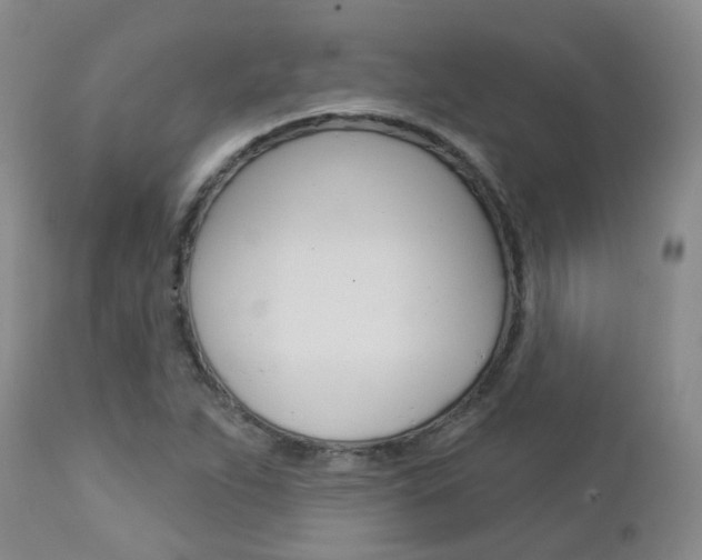 X0000112861263200908211047