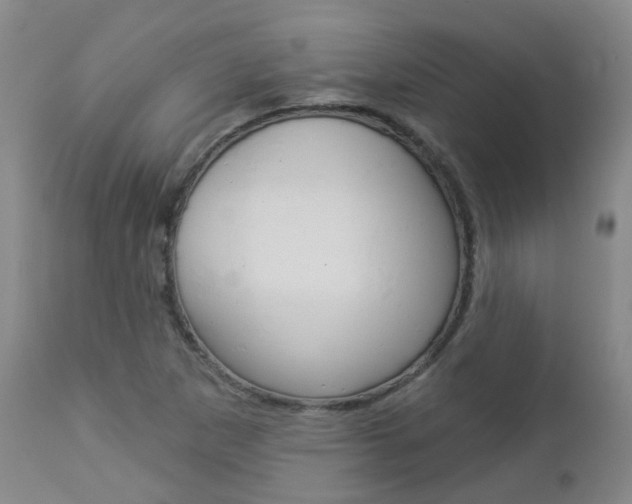 X0000112861265200908211047
