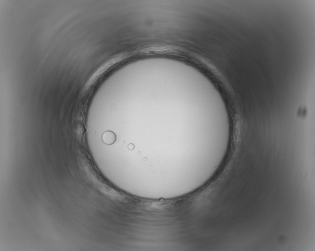 X0000112861266200908211047