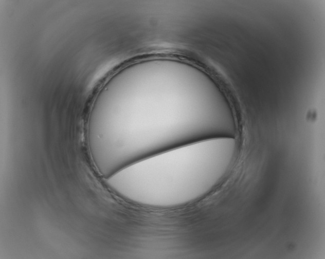 X0000112861267200908211047