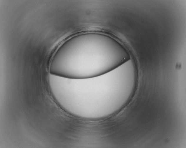 X0000112861269200908211046