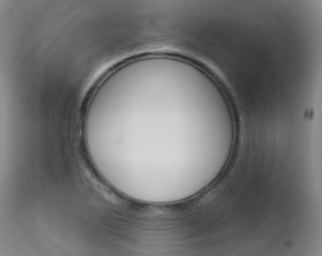 X0000112861270200908211046