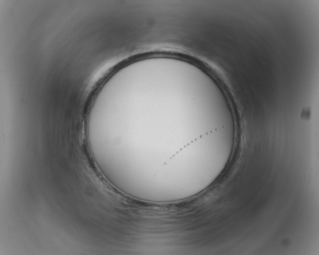 X0000112861271200908211046