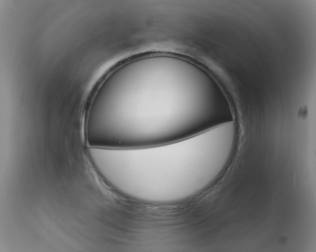 X0000112861272200908211046