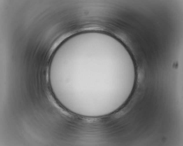 X0000112861274200908211046