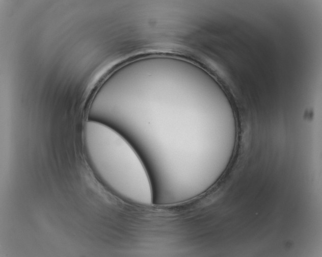 X0000112861275200908211046