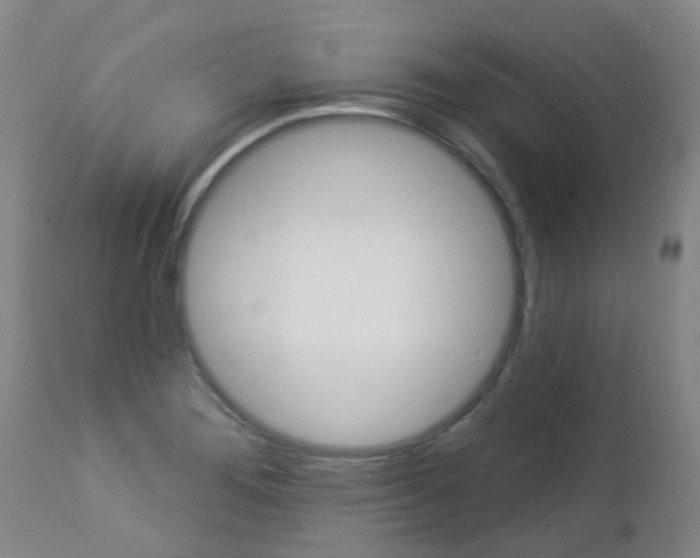 X0000112861276200908211046