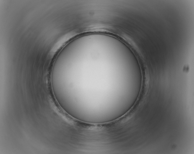 X0000112861277200908211046