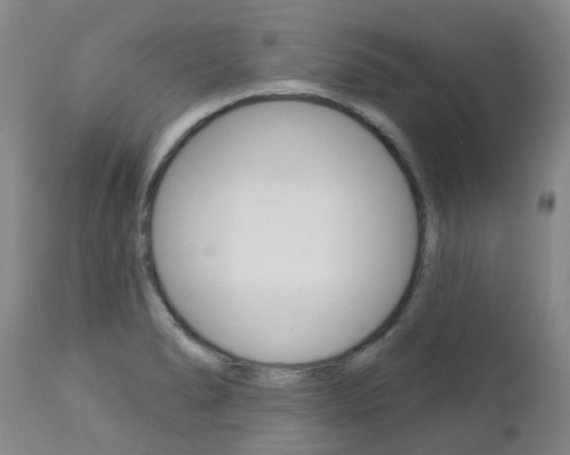 X0000112861278200908211046