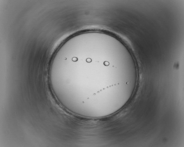 X0000112861279200908211046