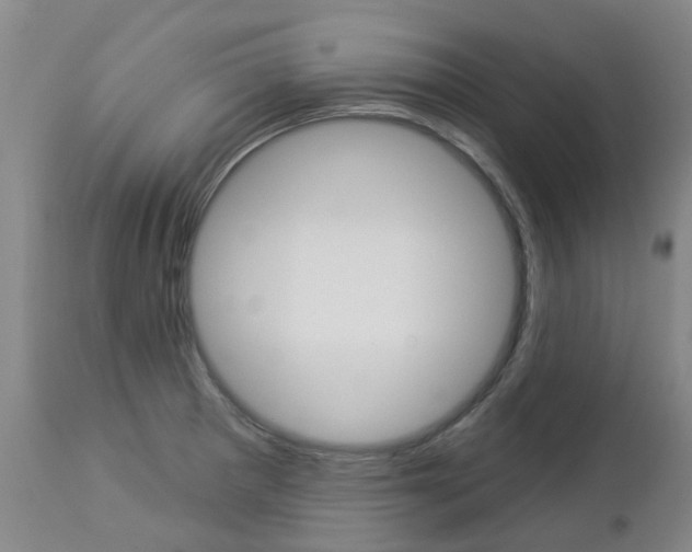 X0000112861281200908211046