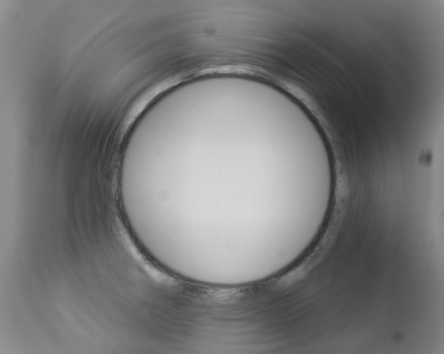 X0000112861282200908211046