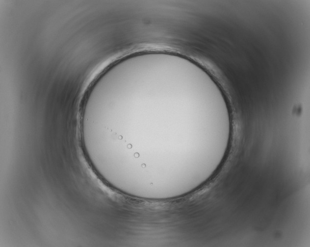 X0000112861286200908211046