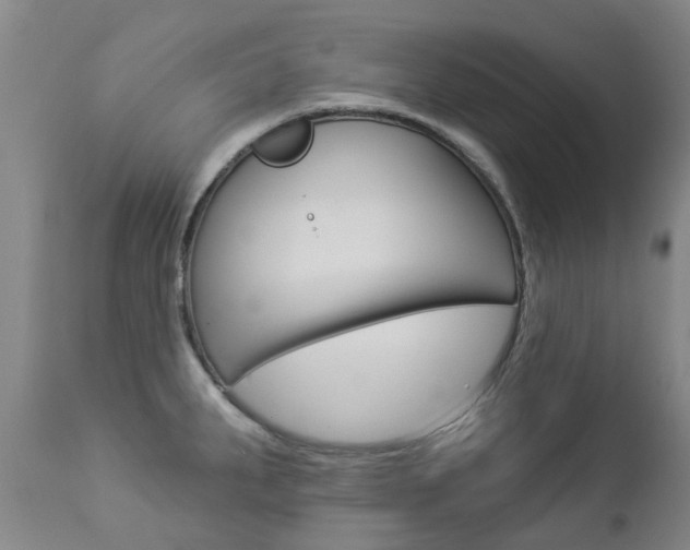 X0000112861287200908211046